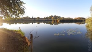 sample pic ecce hu 01